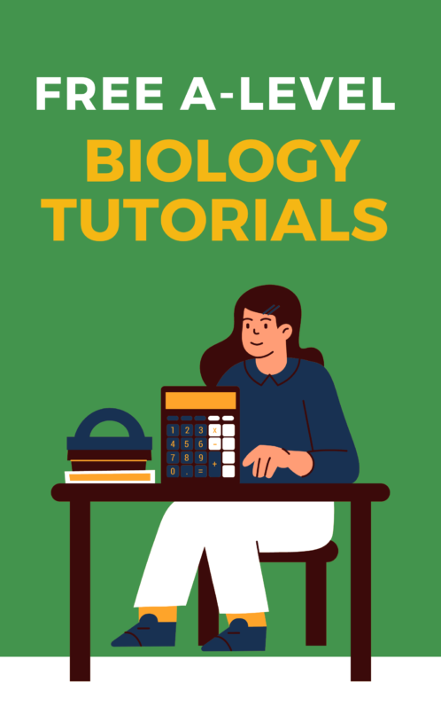 Introducing The Genetic Code A Level Biology Study Mind