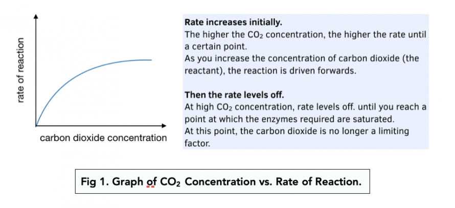 Limiting Factors Of Photosynthesis A Level Biology Study Mind