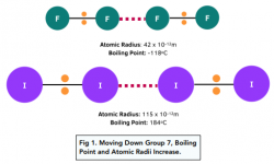 The Halogens Group 7 The Halogens A Level Chemistry Study Mind