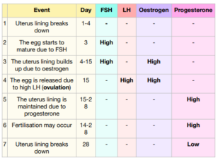 Hormones In Human Reproduction The Menstrual Cycle Hormones GCSE