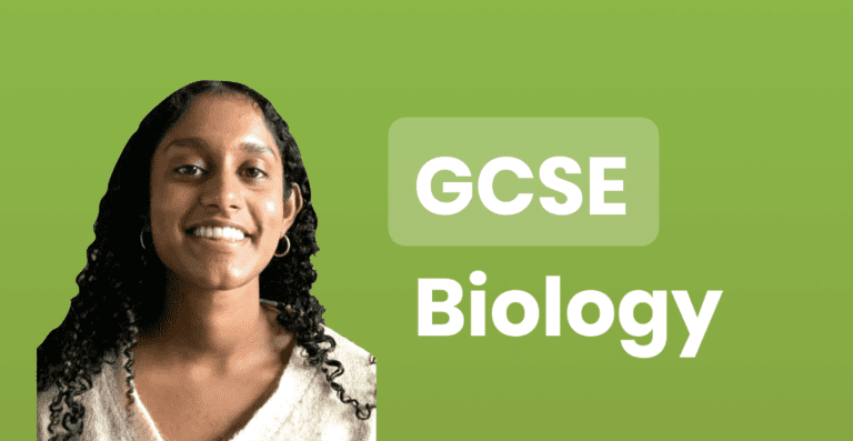 Homeostasis - Thermoregulation (GCSE Biology) - Study Mind