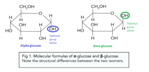 Fructose: Carbohydrates: Monosaccharides 