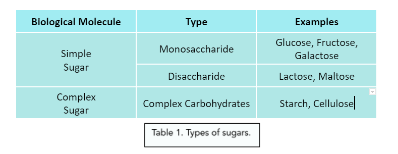monosaccharide examples