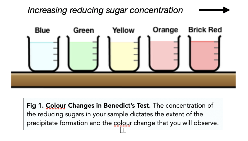 Benedict Solution Test