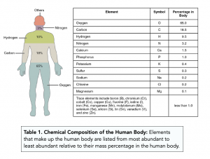 A-level Biology - Biological Molecules