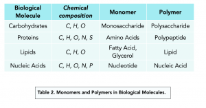 A-level Biology - Biological Molecules