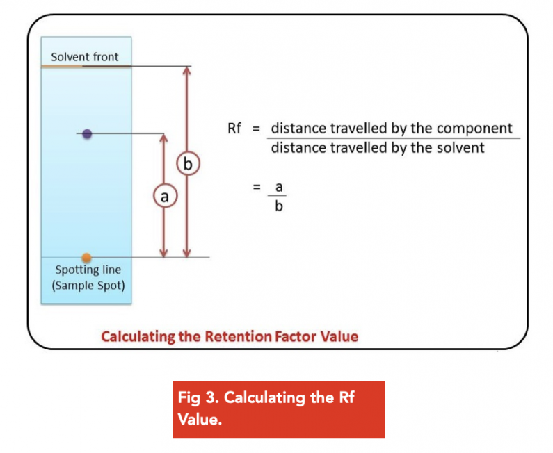 ᐉ Test for Carbohydrates Lipids & Proteins Biuret & Emulsion