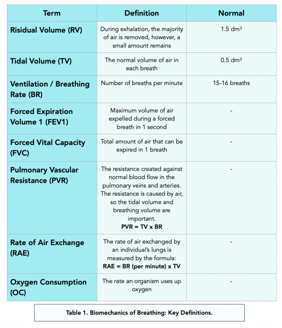 Pulmonary Ventilation Rate (Alevel Biology) Study Mind