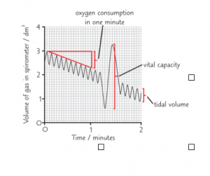 A-level Biology - Pulmonary Ventilation Rate