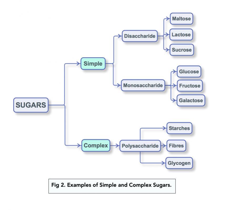 Carbohydrates Disaccharides (Alevel Biology) Study Mind