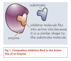 A-level Biology - Enzymes: Inhibitors