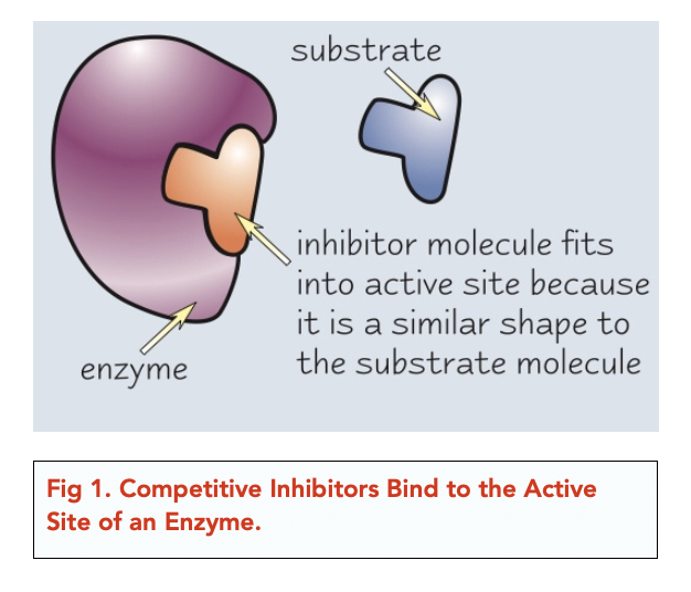 Enzymes Inhibitors (Alevel Biology) Study Mind