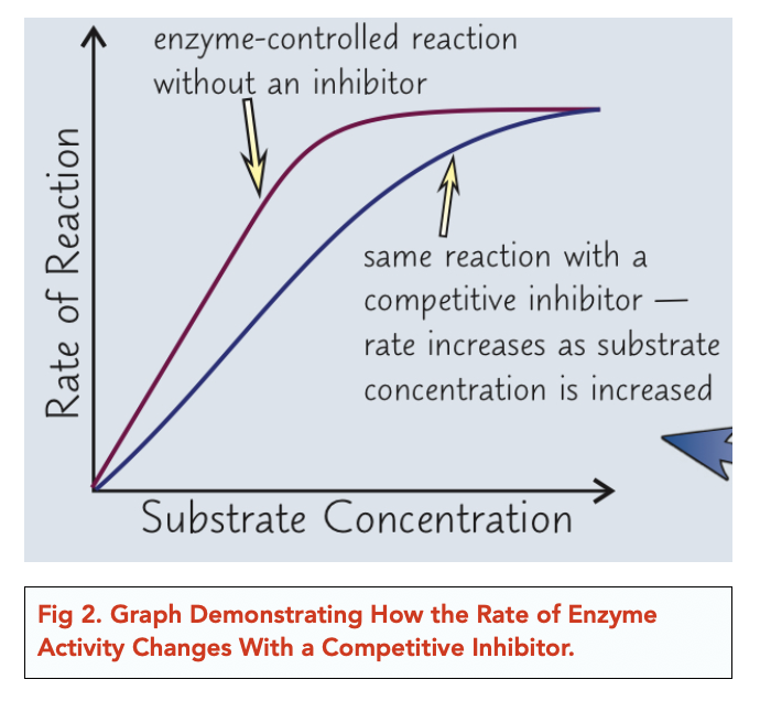 Enzymes Inhibitors (Alevel Biology) Study Mind
