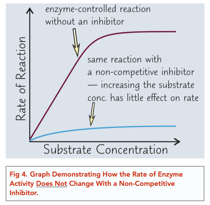 Enzymes Inhibitors (Alevel Biology) Study Mind