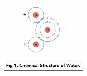 A-level Biology - Structure of Water