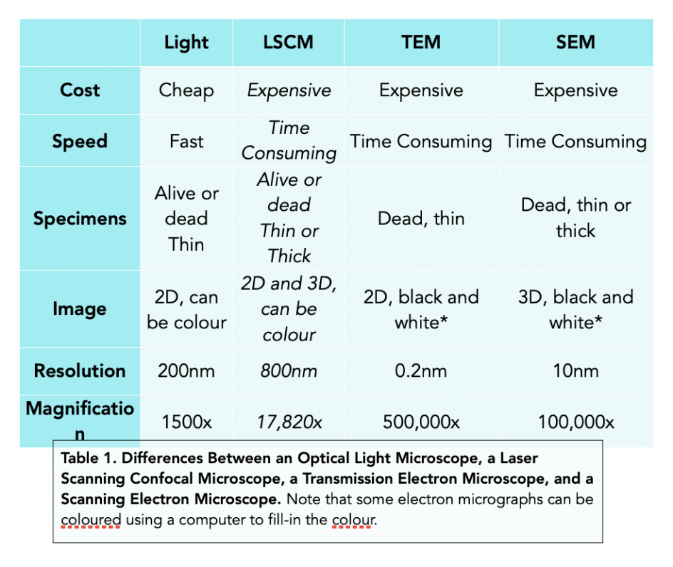 Studying Cells Confocal Microscopes (Alevel Biology) Study Mind