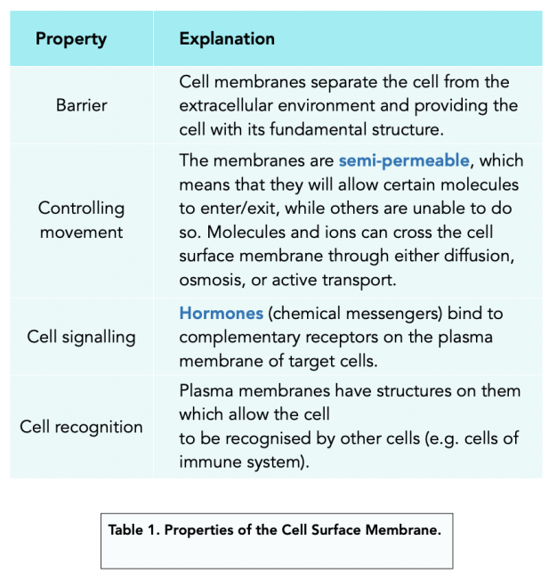 Function of Cell Membrane (A-level Biology) - Study Mind