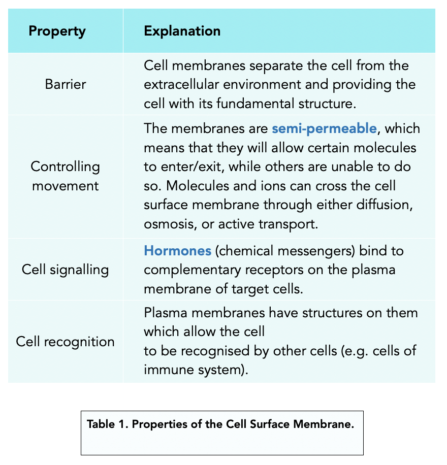 the importance of cell membranes a level biology essay