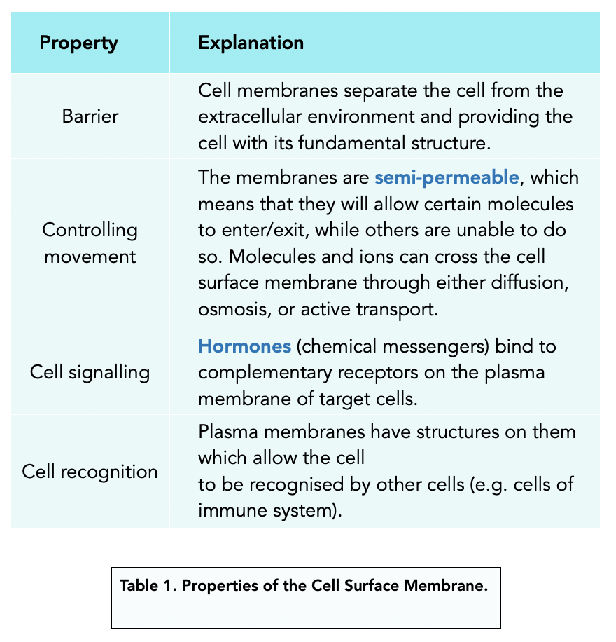 cell wall structure and function