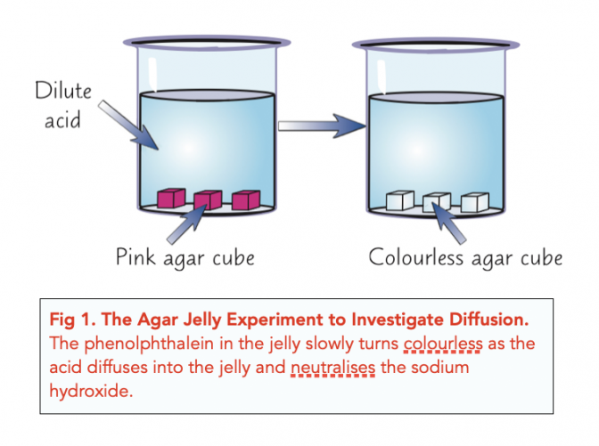 biology diffusion experiment