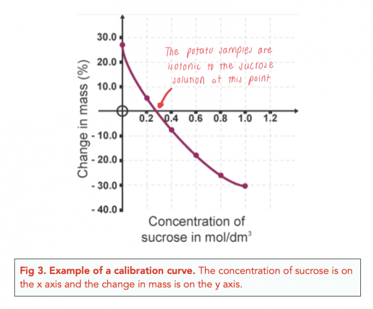 Investigating Transport Across Membranes (Alevel Biology) Study Mind