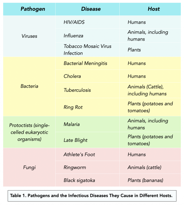 Pathogens and Infectious Diseases (A-level Biology) - Study Mind