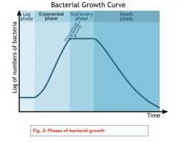 Microbial Techniques (A-level Biology) - Study Mind