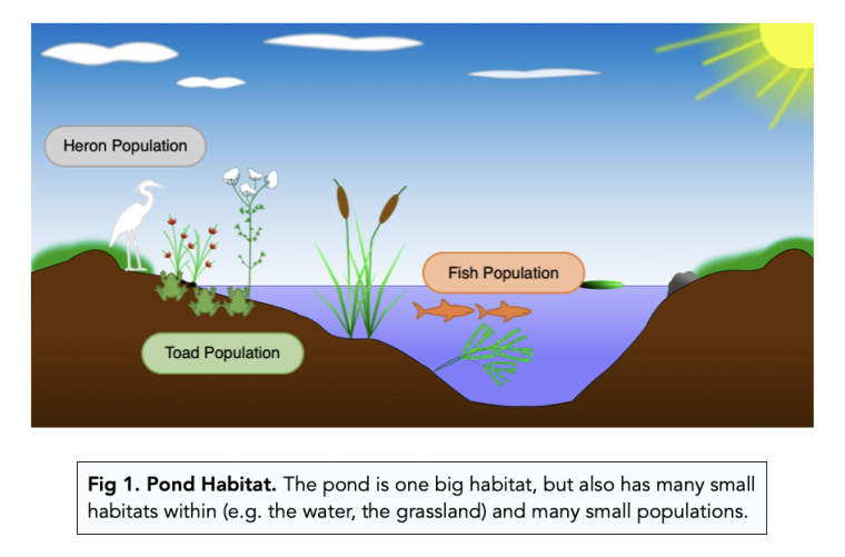 Introducing Biodiversity (A-level Biology) - Study Mind