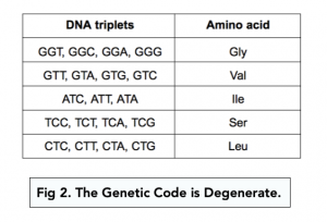 A-level Biology - Calculating Genetic Diversity