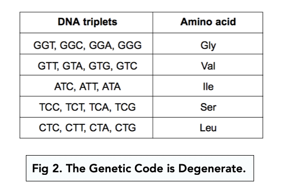 Calculating Genetic Diversity (A-level Biology) - Study Mind