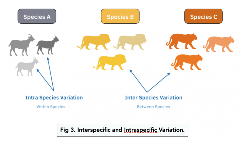 Biodiversity and Gene Technology (A-level Biology) - Study Mind