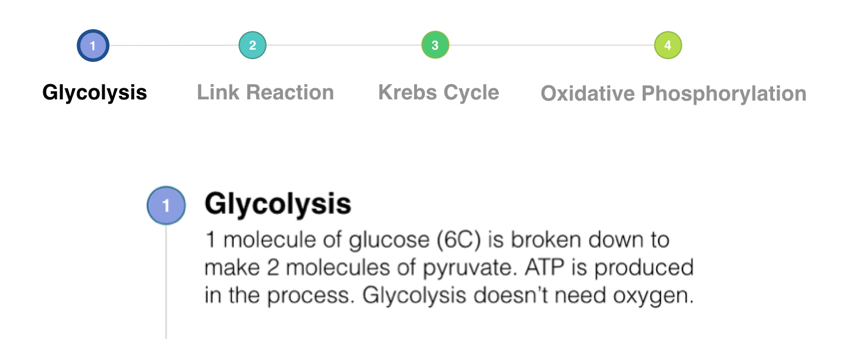 Glycolysis (A-level Biology) - Study Mind