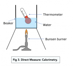 Measuring Biomass (A-level Biology) - Study Mind