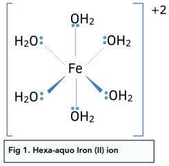 Metal Ions in Solution