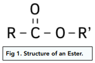 Properties and Reactivity of Esters