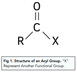  Acyl Groups