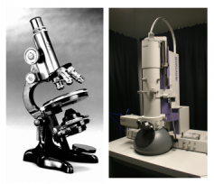 Microscopes & Cultures - Microscopes (GCSE Biology) - Study Mind