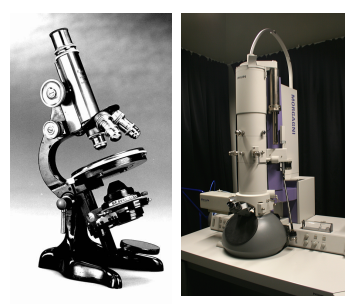 Microscopes and Cultures