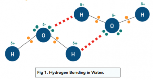 Bonding - Hydrogen Bonding in Water