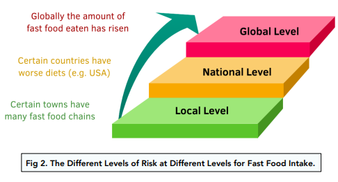 Lifestyle and Disease: An Introduction