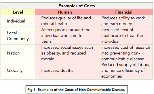 The Cost of Non-Communicable Diseases