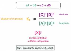 Calculations with Equilibrium Constants 