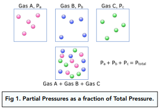 Gas Partial Pressures