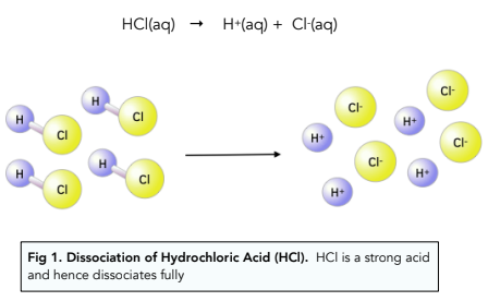Acids and Bases - Buffer Action (A-Level Chemistry) - Study Mind