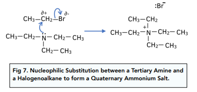Properties and Reactivity of Amines