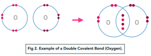 Bonding - Covalent bonds