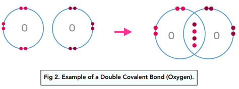 Bonding - Covalent Bonds (a-level Chemistry) - Study Mind