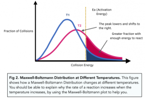 Kinetics - The Maxwell– Boltzmann Distribution and Catalysts
