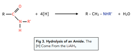 Structure of Amides