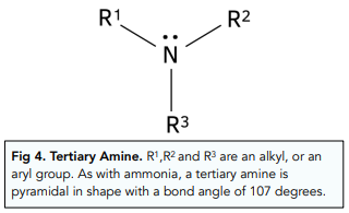 Introduction to Amines
